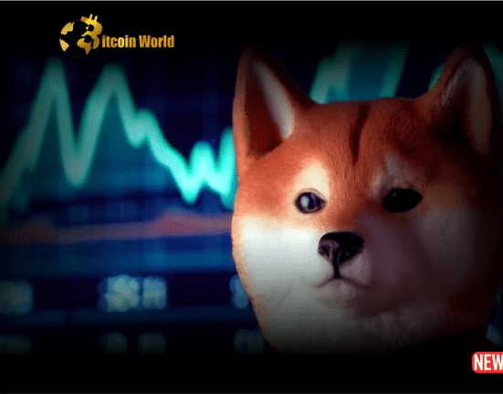 Shiba Inu Developers Bold Move