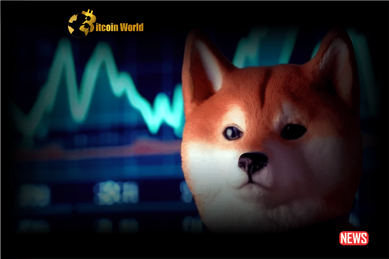 Shiba Inu Developers Bold Move