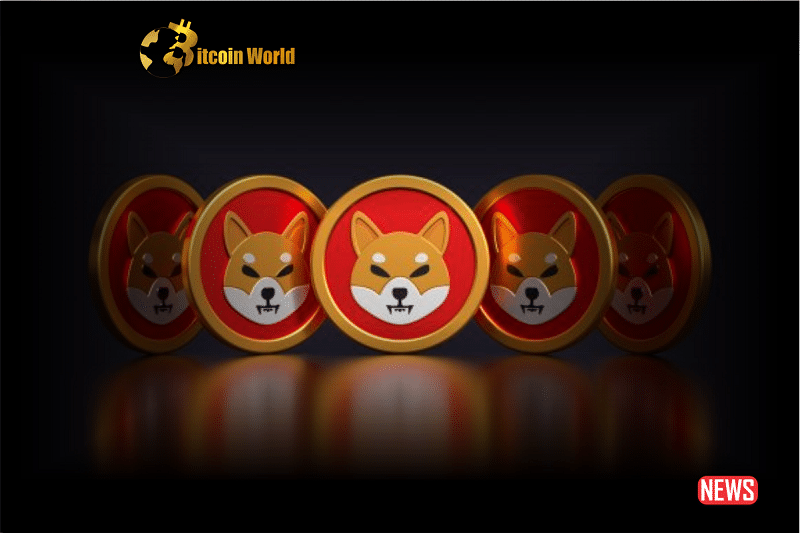 Shiba Inu Open Interest Top