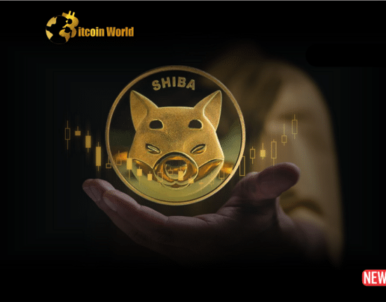 Shiba Inu SHIB Witnesses Massive Token 1