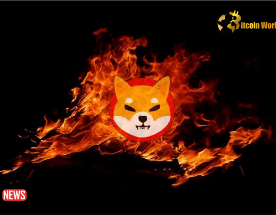 Shiba Inu ($SHIB) Burn Rate Surges Over 14,000% as Marketing Lead Unveils Future Plans