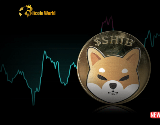 Shiba Inus Futures Open 1