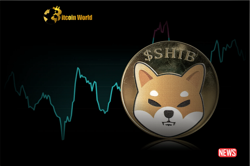 Shiba Inus Futures Open 1