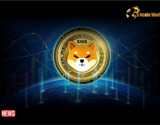 What Next For Shiba Inu (SHIB) Price as Whale Demand Weakens?
