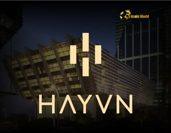 Shocking $12.45M Fine for Hayvn Group: AML Violations Rock Abu Dhabi Crypto Scene