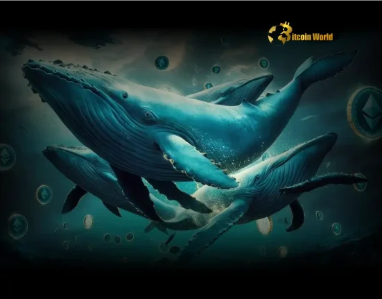 Shocking Crypto Alert: Dormant Ethereum Whale Dumps $11.8M ETH After 3 Years!