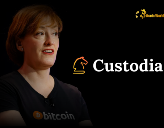 Shocking Crypto Banking Blockade: Custodia Bank CEO Exposes US Regulatory Failures