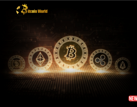 Skilled Trader Advises Focus on Altcoins