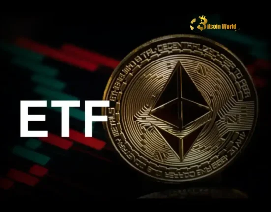 Soaring Ether 2x Short ETFs: Surprising Top Performers in the US ETF Market