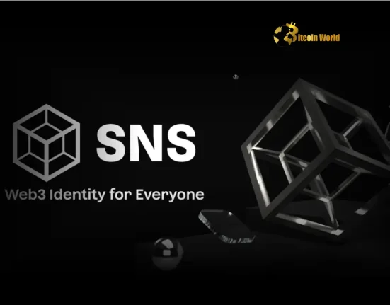 Solana Name Service Gets Powerful New SNS Token from Bonfida