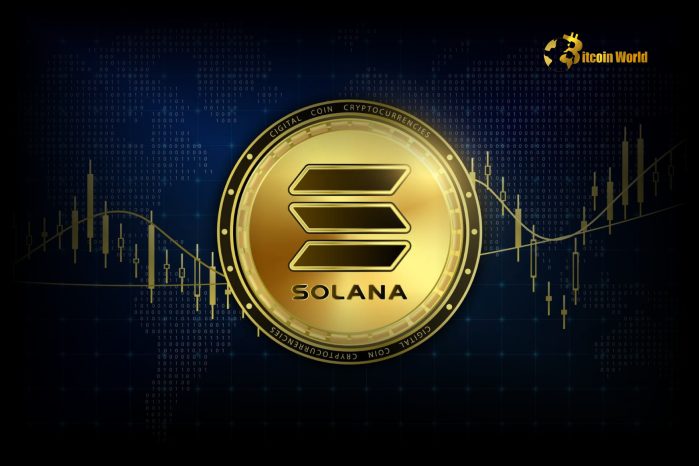 Solana Tops Stablecoin Transfer Volume in 2024, Leading the Blockchain Race