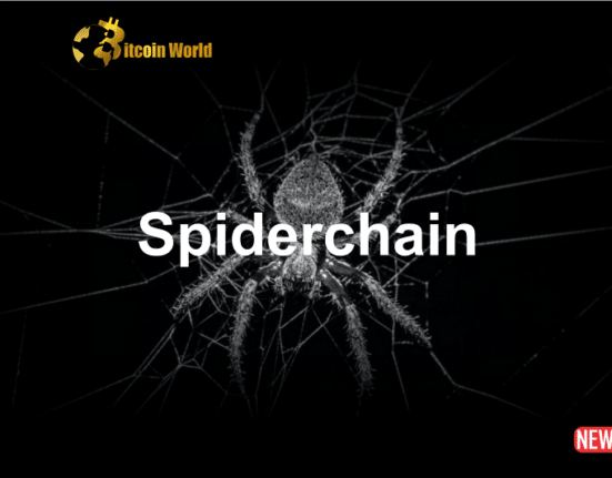 Spiderchain Aims