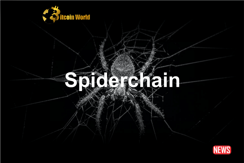 Spiderchain Aims
