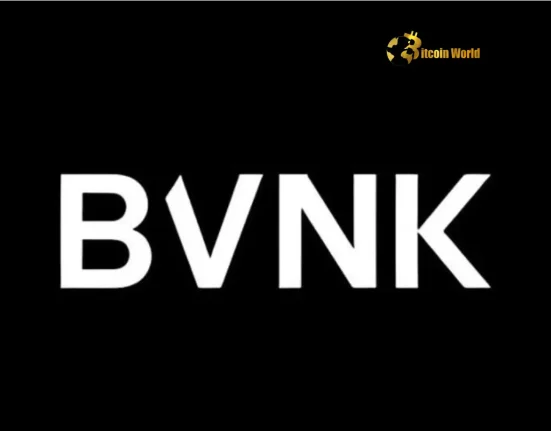 Stablecoin Payments: Visa Ventures Fuels BVNK's Bold U.S. Expansion