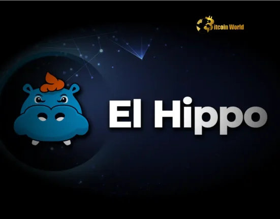 Strategic $1.5M HIPPO Token Purchase: DWF Labs' Bold Move Signals Market Confidence