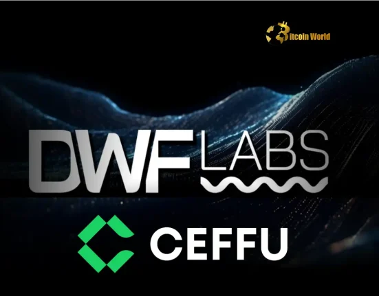 Strategic $6.6M MOVE Token Deposit: Unveiling DWF Labs' Ceffu Transfer
