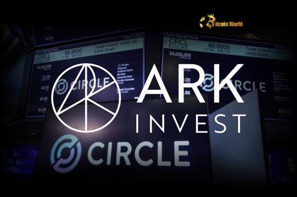Strategic ARK Invest Sale Offloading $57M in Circle Shares Amidst Price Surge