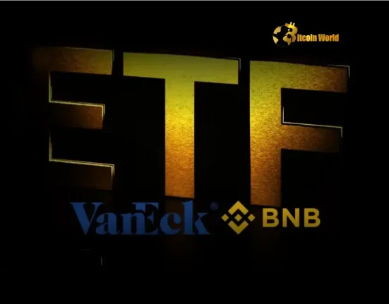 Strategic Insights: VanEck BNB ETF Filing Linked to CZ's National Crypto Reserves Plan