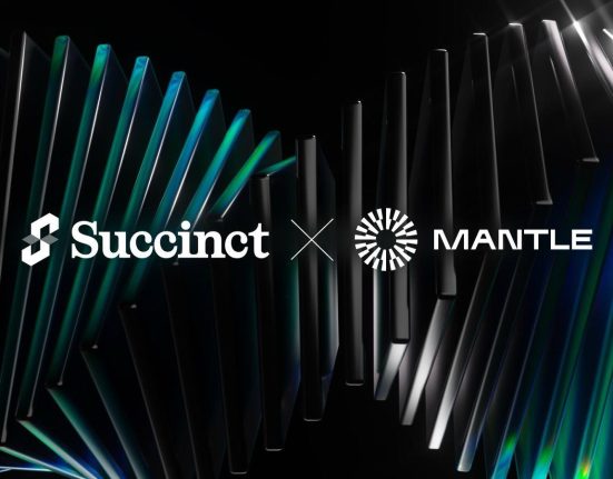 Succinct x Mantle 1734584487p3DrVJERiN