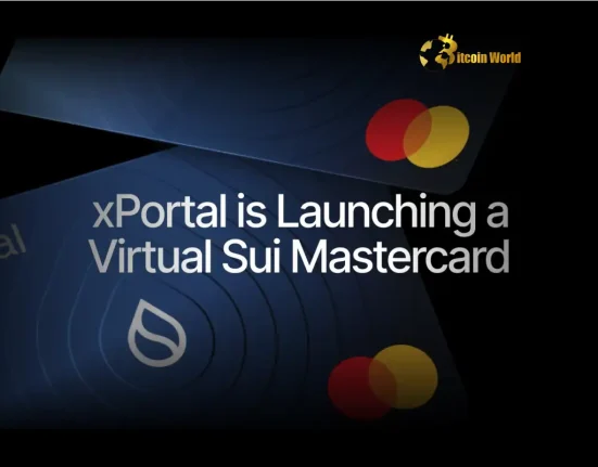 Sui Crypto Unlocks Revolutionary Virtual Mastercard with xPortal and xMoney