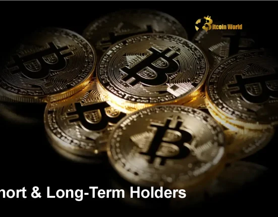 Surprising Bitcoin Accumulation: Short & Long-Term Holders Confidently Increase BTC Holdings in April