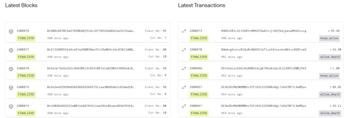 TAO’s block explorer showing halted activity