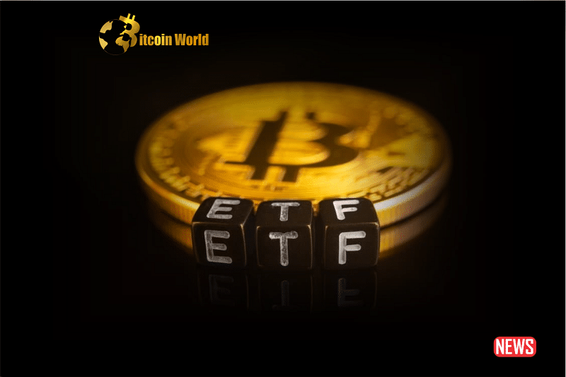The Bitcoin ETF Buzz