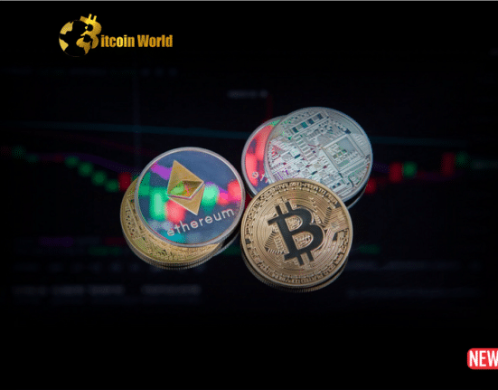 The Complex World of Crypto Insurance