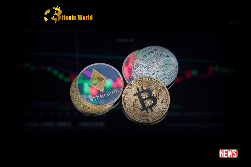 The Complex World of Crypto Insurance