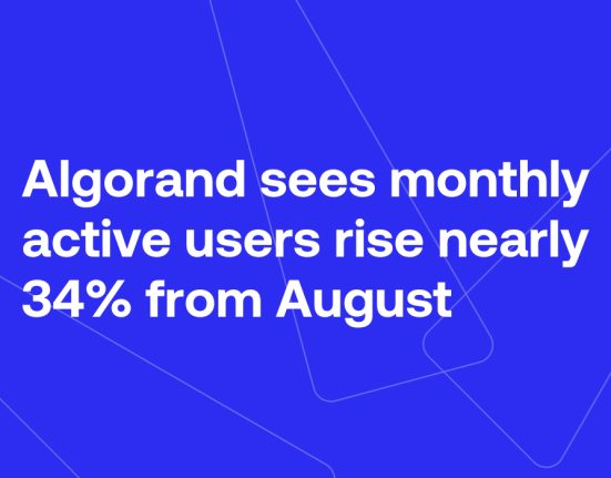 The Algo Insights Report 1729240171xhV9WqODaO