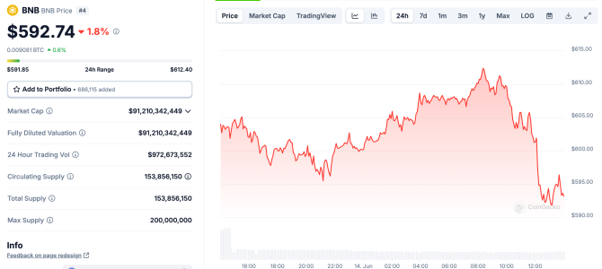 CZ's Crypto Empire: Unveiling Changpeng Zhao's Massive 64% BNB Ownership Tokenomic and price metrics for Binance's BNB token.