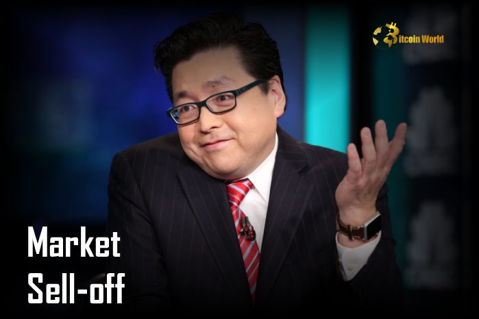 Tom Lee Calls Market Sell-Off an Overreaction, Sees Buying Opportunity