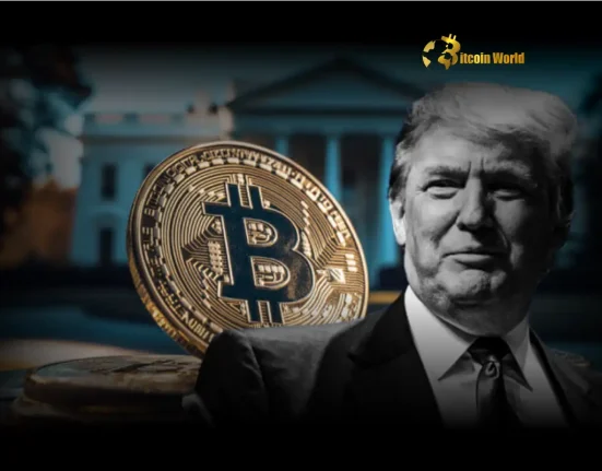 Trump Risks Unleash Crypto Value Surge Expert Bitcoin Analysis