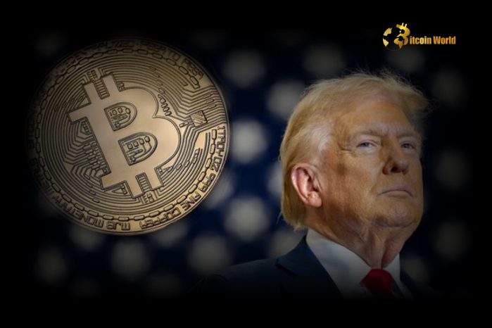 Trump's Crypto Advisory Council to Feature 24 Industry Leaders and Shape Policy