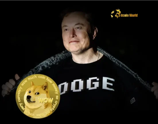 Truth Revealed Elon Musk Debunks Dogecoin Adoption Rumors by US Government