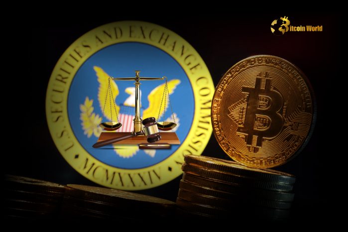 U.S. SEC’s Crypto Enforcement Actions Drop 30% in 2024