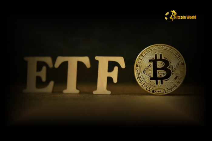 U.S. Spot Bitcoin ETFs See $223.1M Net Inflows on December 11