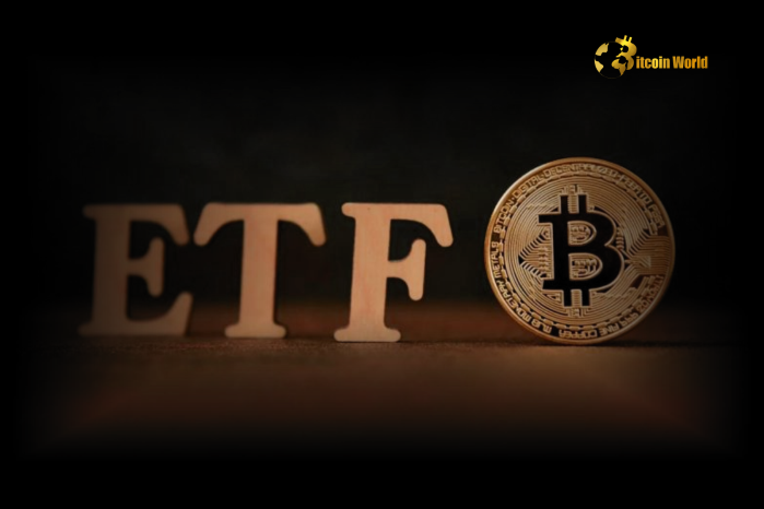 U.S. Spot Bitcoin ETFs' BTC Holdings Tripled Over December Mining Output