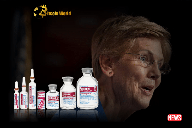 US Senator Elizabeth Warren