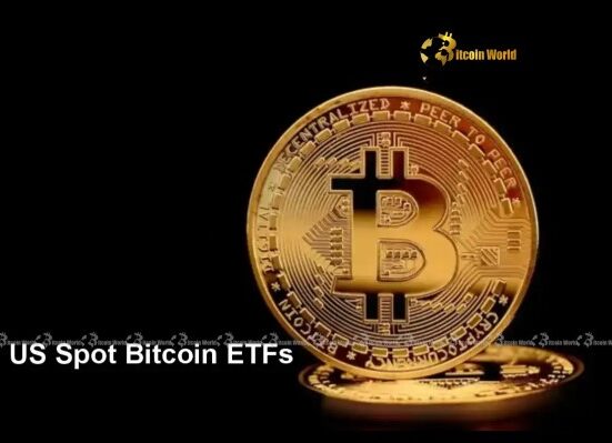 US Spot Bitcoin ETFs Maintain Strong Momentum with 9th Straight Day of Inflows