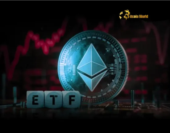 US Spot Ethereum ETFs See Concerning Outflows What’s Next