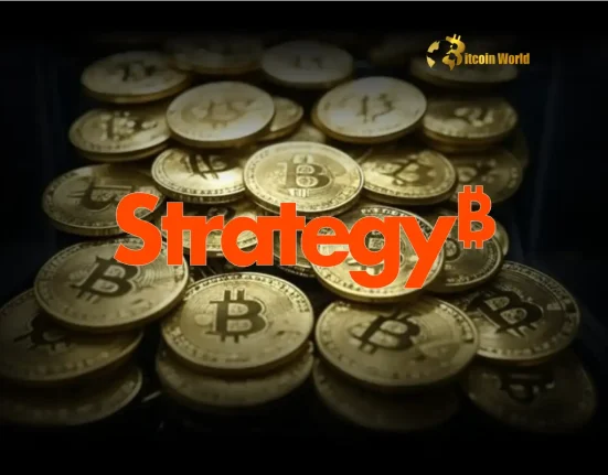 US States Make Strategic Move: Surging MSTR Holdings Unlock Bitcoin Exposure