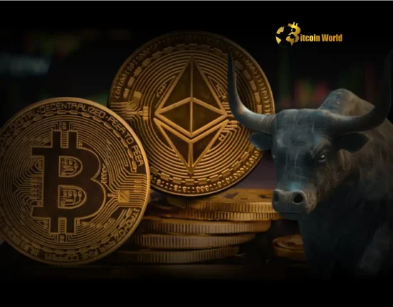 US Stock Market Soars What This Stunning Rally Means for Crypto