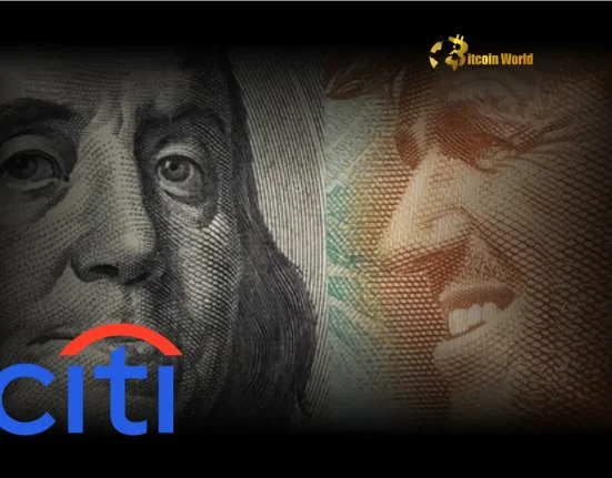 USD Outlook: Citi's Critical Bearish Forecast and Stronger Saudi Riyal View