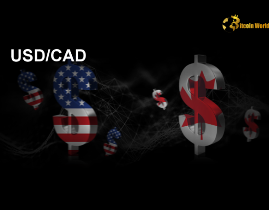 USD/CAD **Steadies** Below 1.4200: **Crucial** Support for US Dollar Amidst Market Uncertainty
