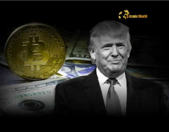 Ultimate De-Risking: Trump's Bitcoin Reserve Sparks Historic Investment Opportunity, Says Bitwise CIO