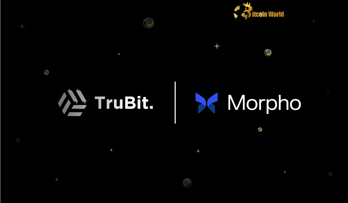 Unlock Crypto Earning Potential: TruBit & Morpho’s Revolutionary DeFi Partnership in Latin America