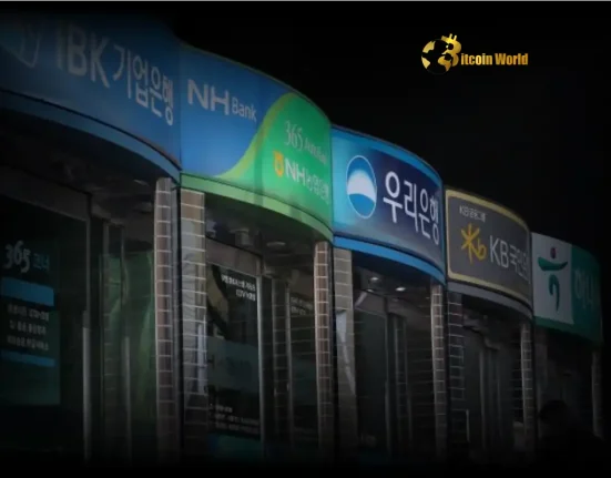 Unlock Crypto Growth Korean Bank CEO Champions Multiple Banking Partnerships for Exchanges