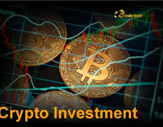 Unlock Crypto Investment Potential: Binance CEO Says It's Not Too Late