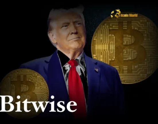 Unlock DeFi’s Hidden Potential Bitwise CIO Predicts Surprising Growth Under New Regulations